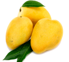 Untitled design (32) Mangoes
