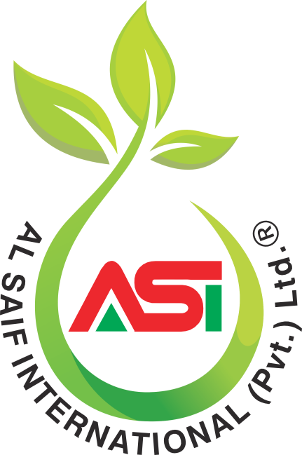 Al Saif International