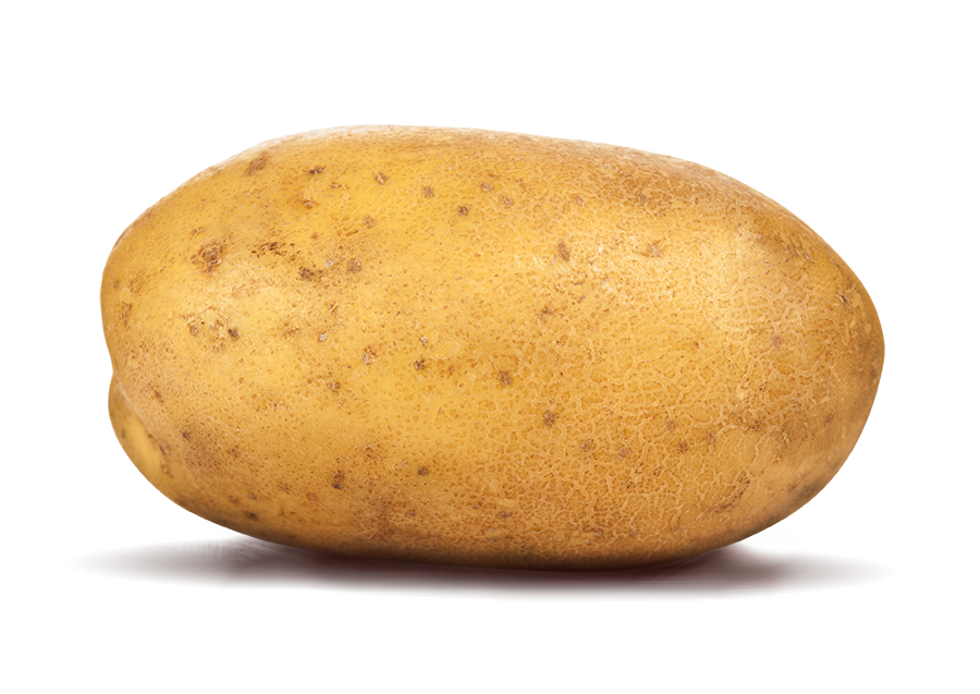 potato Fresh potato